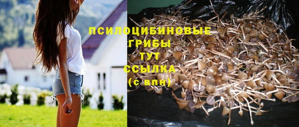 mdpv Балахна