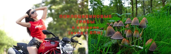 гидропоника Баксан