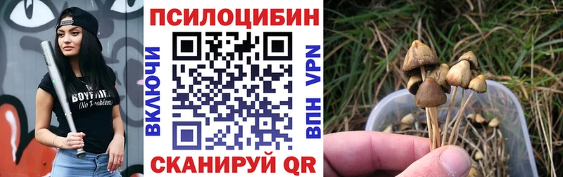 Галлюциногенные грибы Magic Shrooms  hydra рабочий сайт  Зеленодольск 