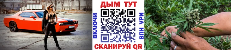 Марихуана сатива Зеленодольск